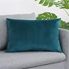 Younar Set of 2 Decorative Velvet Throw Pillow Covers Couch Pillow Covers Cushion Covers for Living Room Sofa Couch Bedroom 20x30 Inch
