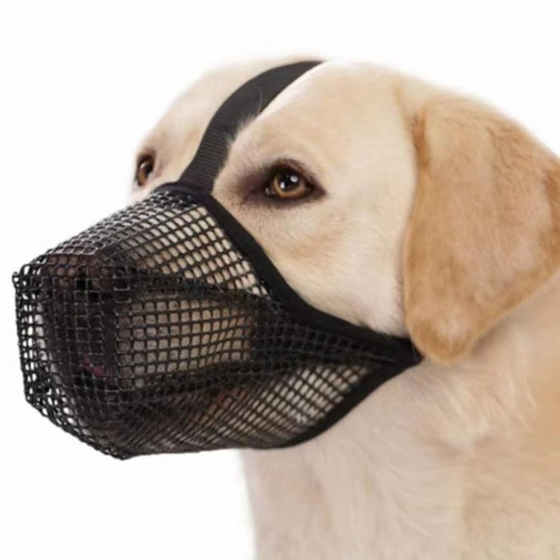 1 Pezzo, Museruola per Cani Taglia L, Nero, Antimordicchia per Allenamento e Grooming