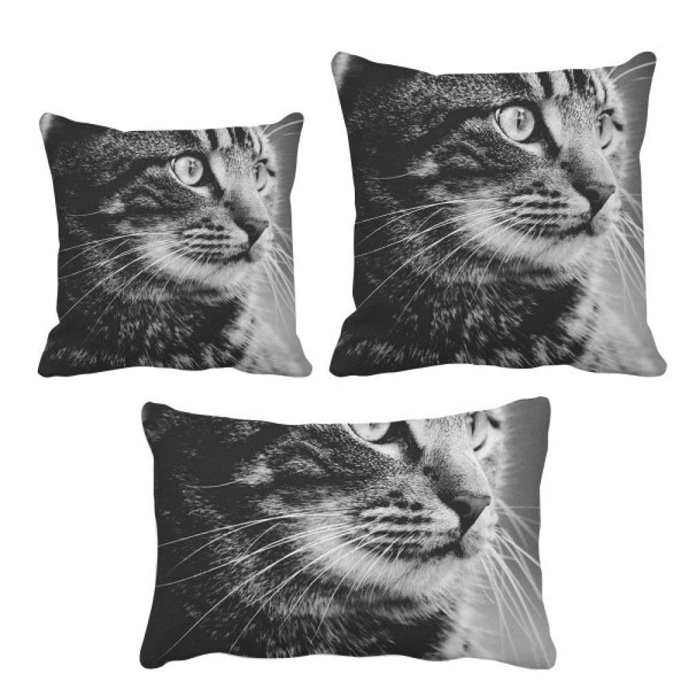Housse de coussin chat noir blanc pour masquer et protéger vos coussins