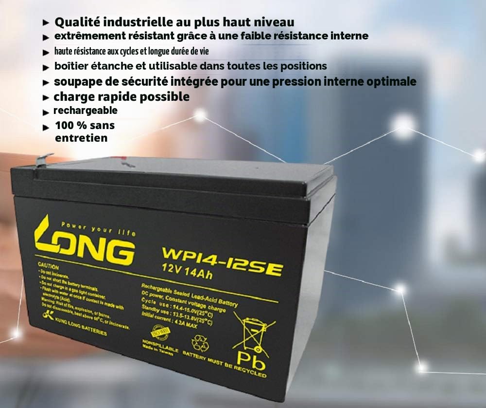 Kung Long Batterie au plomb AGM 12 V 14 Ah Pb WP14-12SE Cyclique compatible 12 Ah 13 Ah 15 Ah 16 Ah