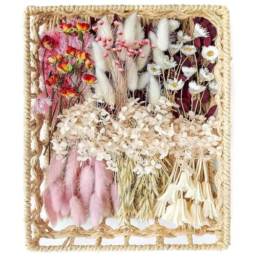 DIY Natural Dried Flower Set, Bulk Dried Flowers, Dried