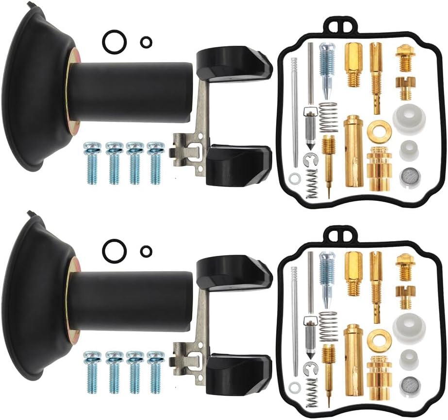 2 Pcs Carburetor Repair Kits Replacement for Yamaha V Star 650 XVS650 1998 1999 2000-2016 Carb Rebuild Kit with Plunger Diaphragm Float