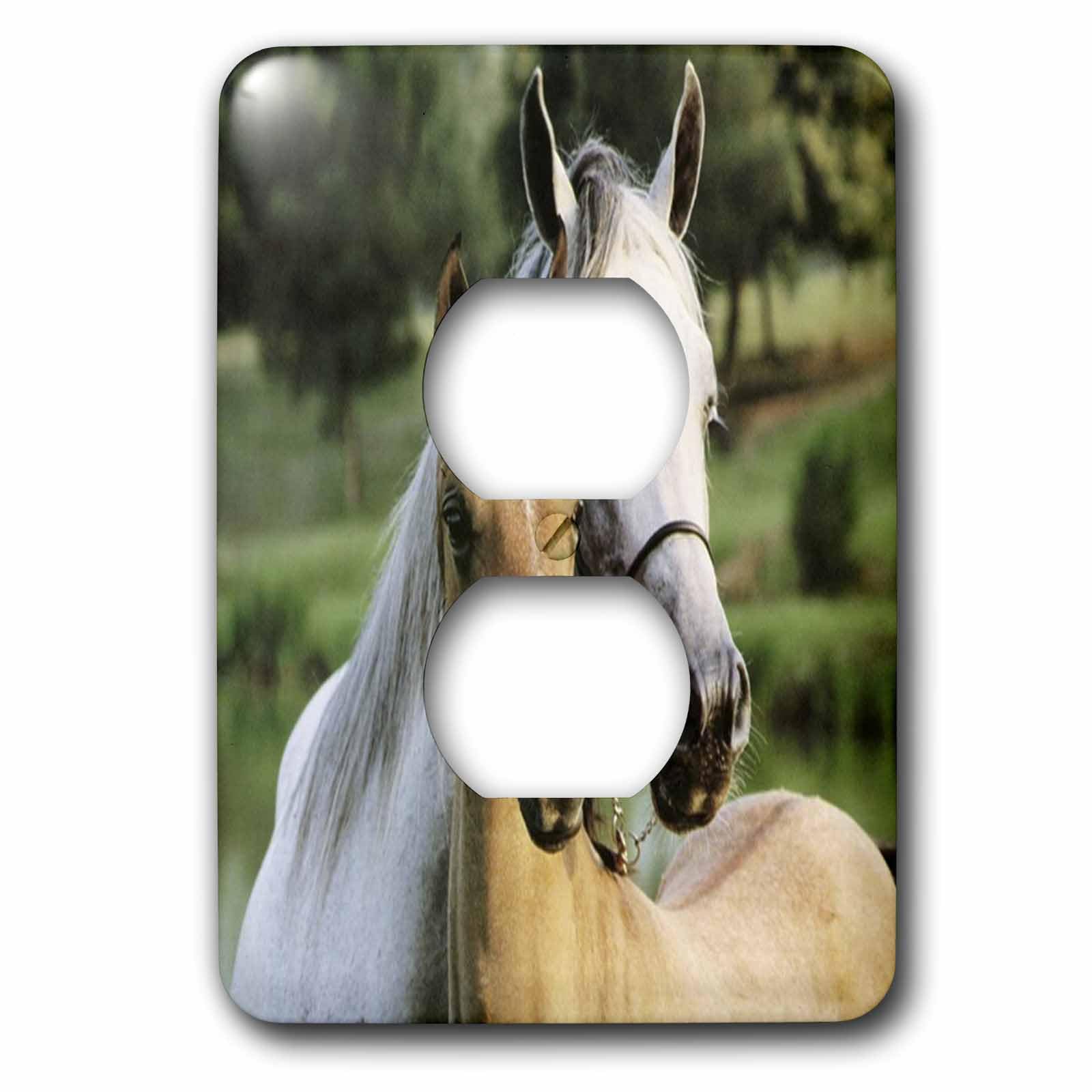 Cache de prise de courant 2 chevaux pour masquer les fixations usées