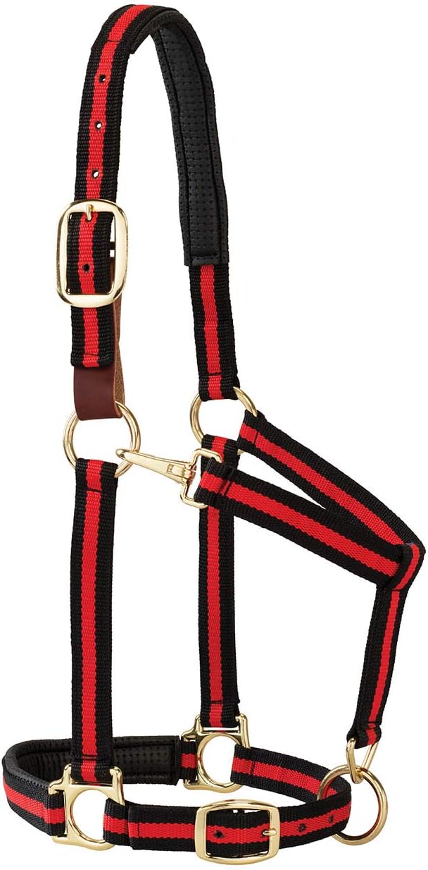 Breakaway Horse Halter, Comfort Foam Padding, Adjustable Chin & Throat Snap Halters for Horses, Equine Tack,Average Size, Red