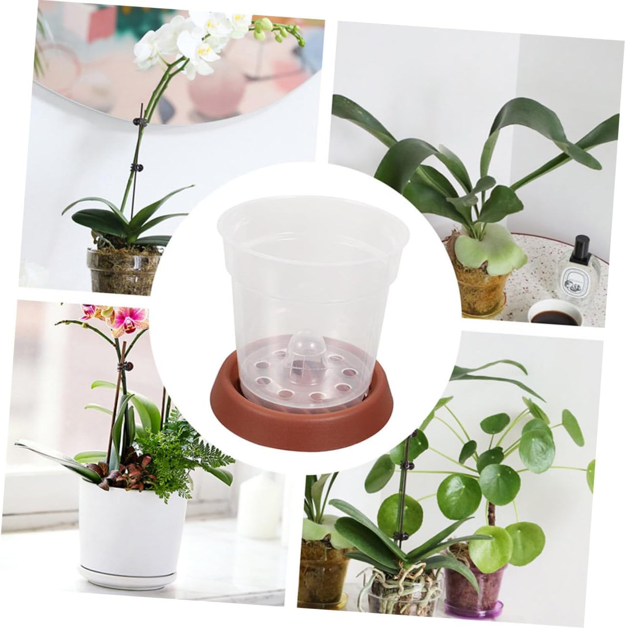 Sosoport 10pcs Plant Nursery Cups Saucers Medium Pp Resin Planter Flowerpots for Use for and Transplanting