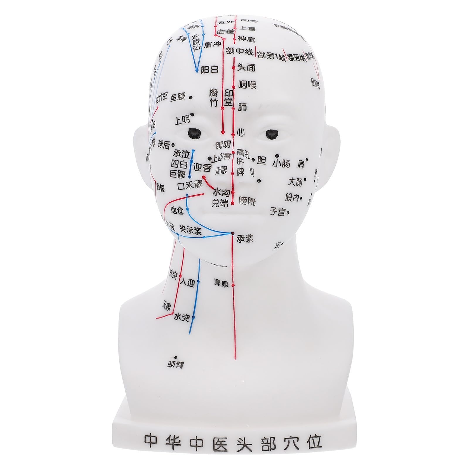 POPETPOP Medizinisches Weiß aus Pvc Kopfakupunkturmodell mit Ergonomischem Design Lehrhilfe 20cm für Kopfmassage und Akupunktur im Klassenzimmer