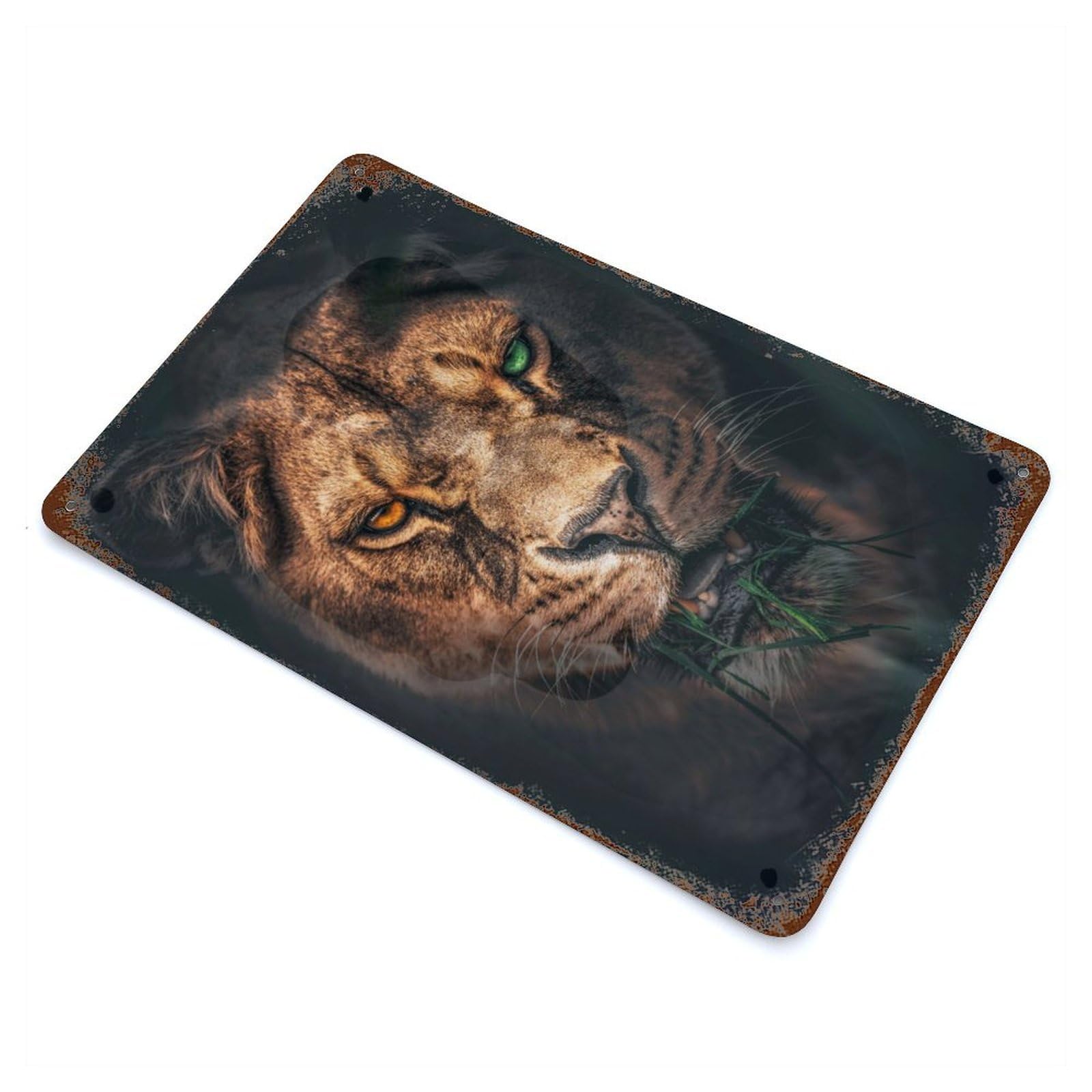 The Green Bandit 11.8"x7.9" Retro Metal Sign, Old School Wall Decor for Office, Studio And Wall Decor