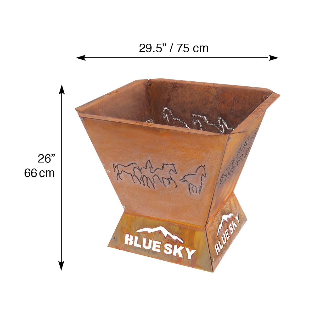 https://m.media-amazon.com/images/I/61Be4J1GXJL.jpg