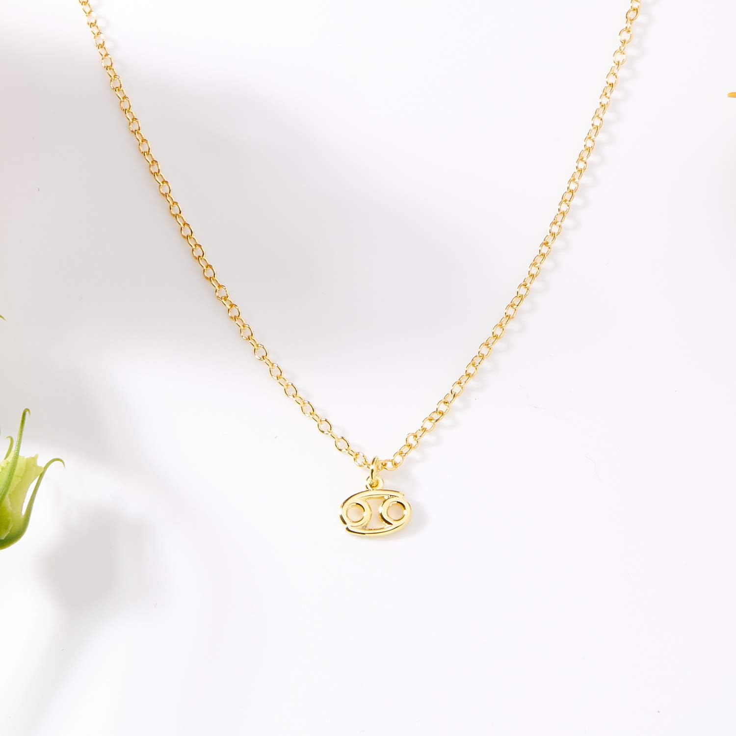 Dear Ava July Necklace Present for Birthday, Celebration, Gift for Her (Cancer)