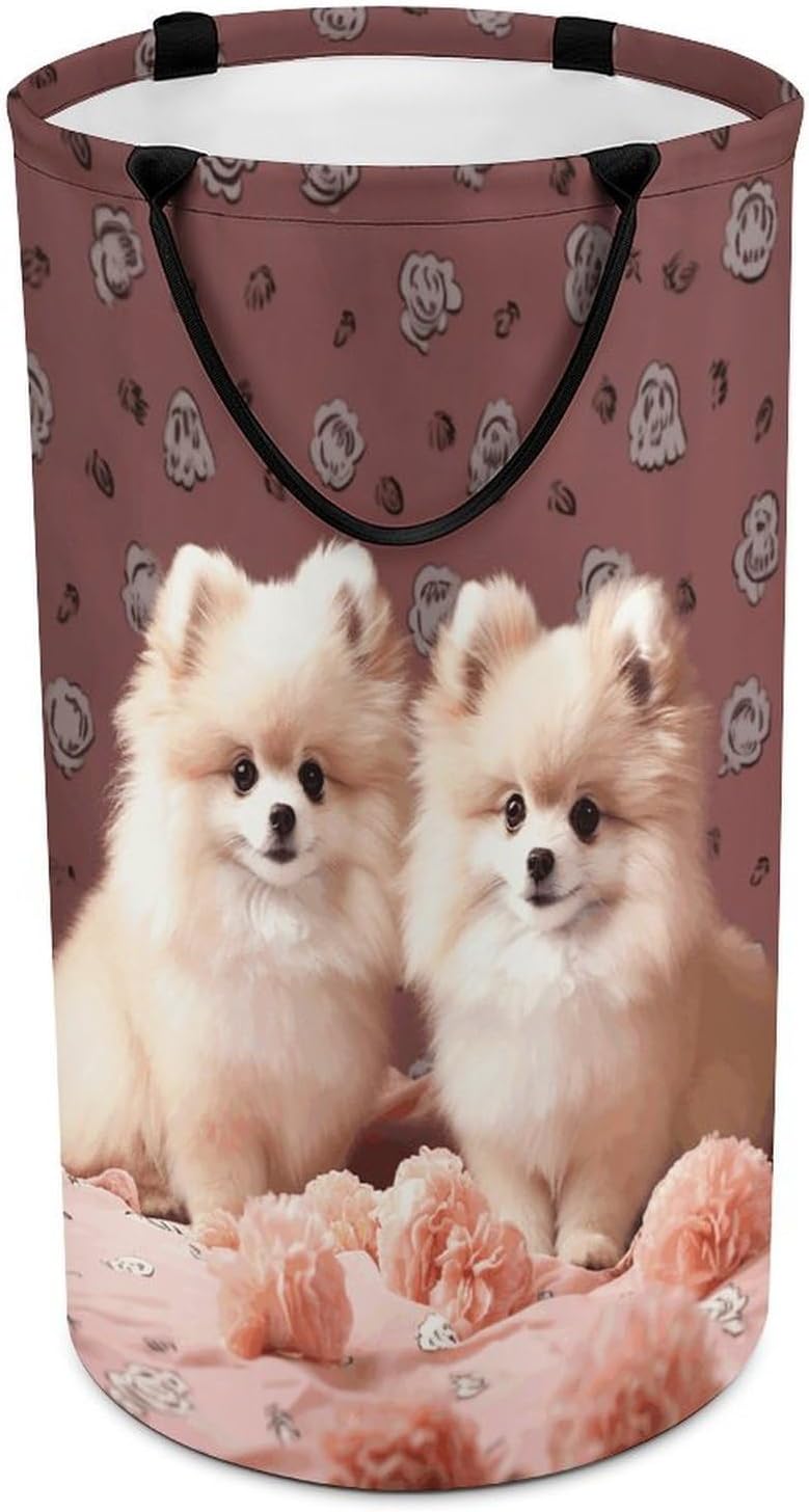 Pomeranians Puppies And Point Laundry Hamper Freestanding Waterproof Clothes Hamper with Easy Carry Handles Large Collapsible Laundry Baskets Portable Dirty Clothes Basket