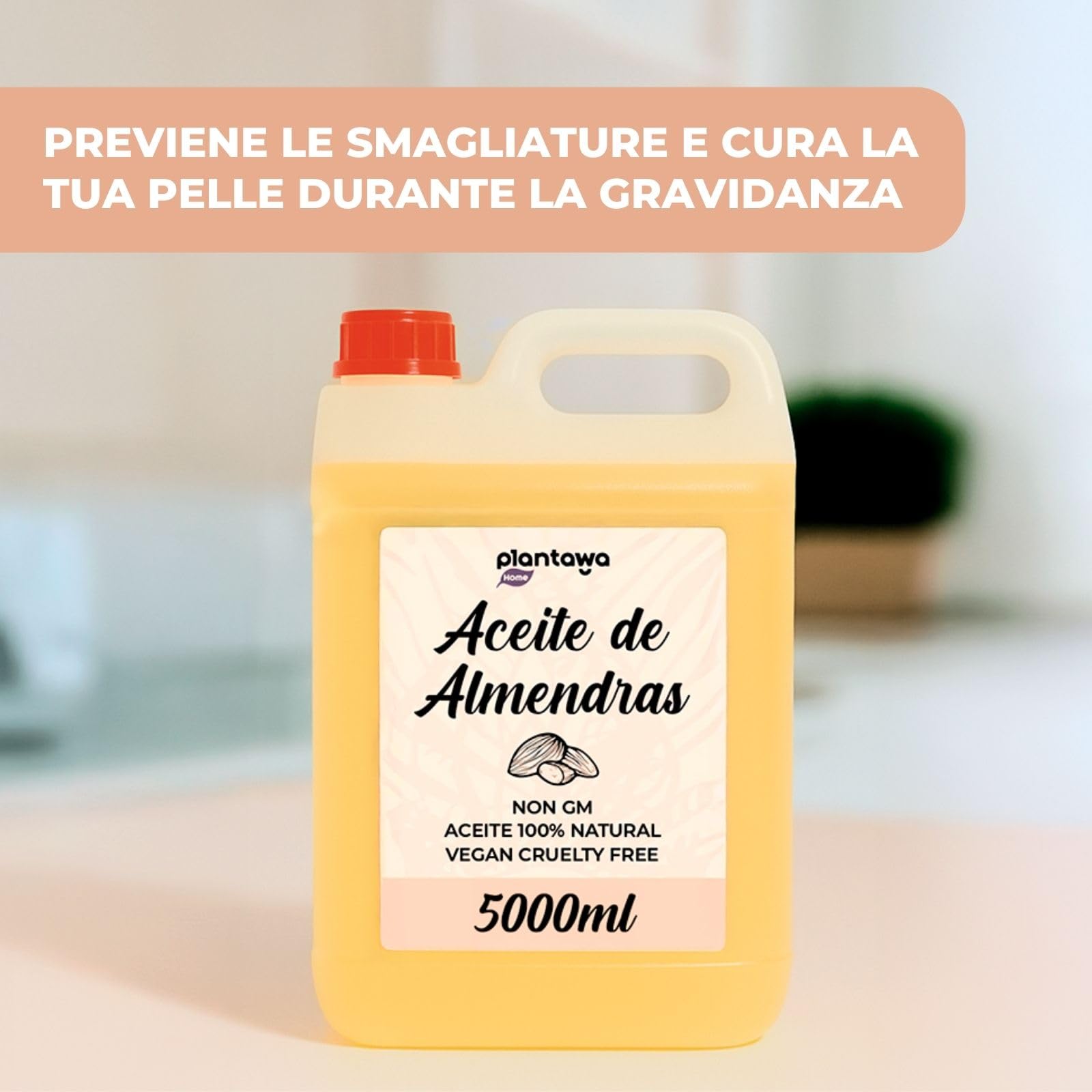PLANTAWA Olio di Mandorle Dolci 5L | Olio di Mandorle per il Corpo 100% Naturale di Origine Vegetale | Olio Multiuso per Massaggi, Materia Prima, Contiene Vitamina E, Bio Olio Smagliature Gravidanza