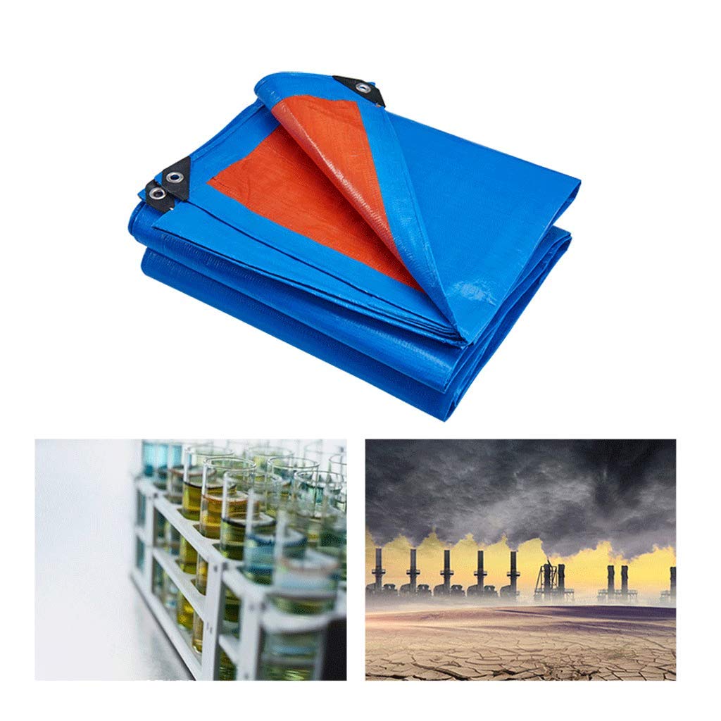 西尾善積、【りんごの花咲く頃】希少な額装用画集より、厳選、新品額装