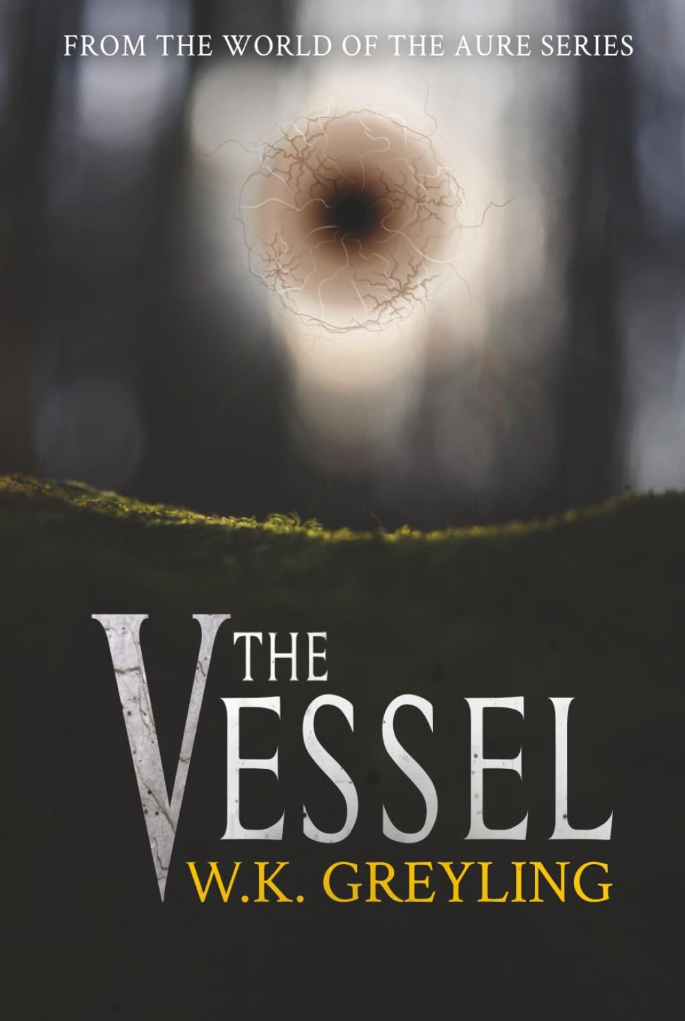 The Vessel: Book One (Aure)
