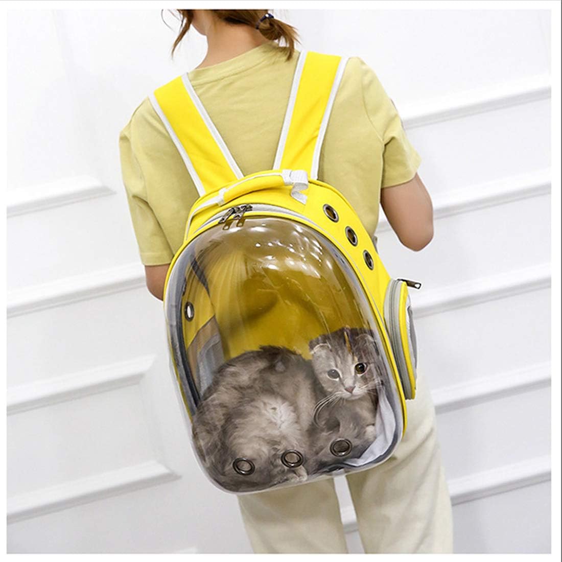 Pet Cat Dog Carrier Backpack Space Capsule Bubble Transparent Backpack Portable Travel Bag Airline-Approved for Hiking Walking Outdoor Use…