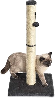 Amazon Basics Cat Scratching Post, Medium, 16 x 16 x 32 Inches, Gray