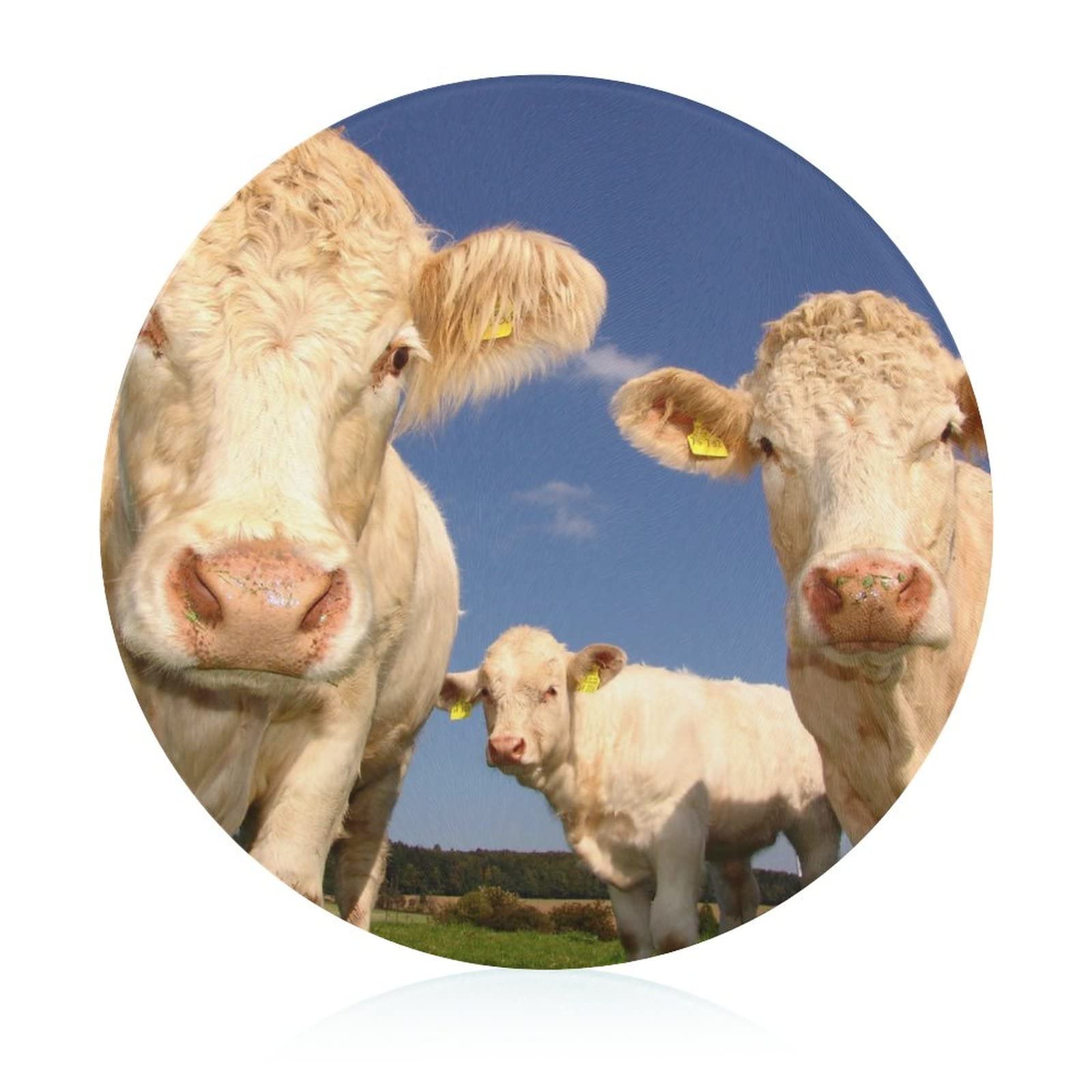 Planche à découper en verre vache blanche de 20 cm résistante à la chaleur pour cuisine