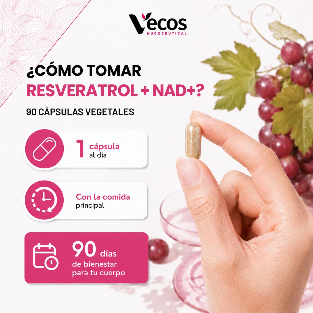 Resveratrol con NAD+, Quercetina y Bioperine – Energía Celular y Antioxidante Avanzado – 90 Cápsulas Veganas (180 Cápsulas (2 Botes))