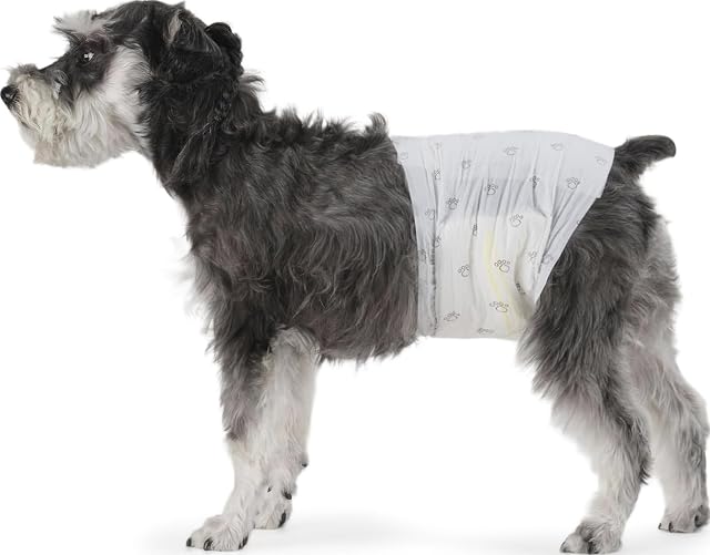 Amazon Basics Pannolini usa e getta per cani maschi, Medio (confezione da 30), Bianco