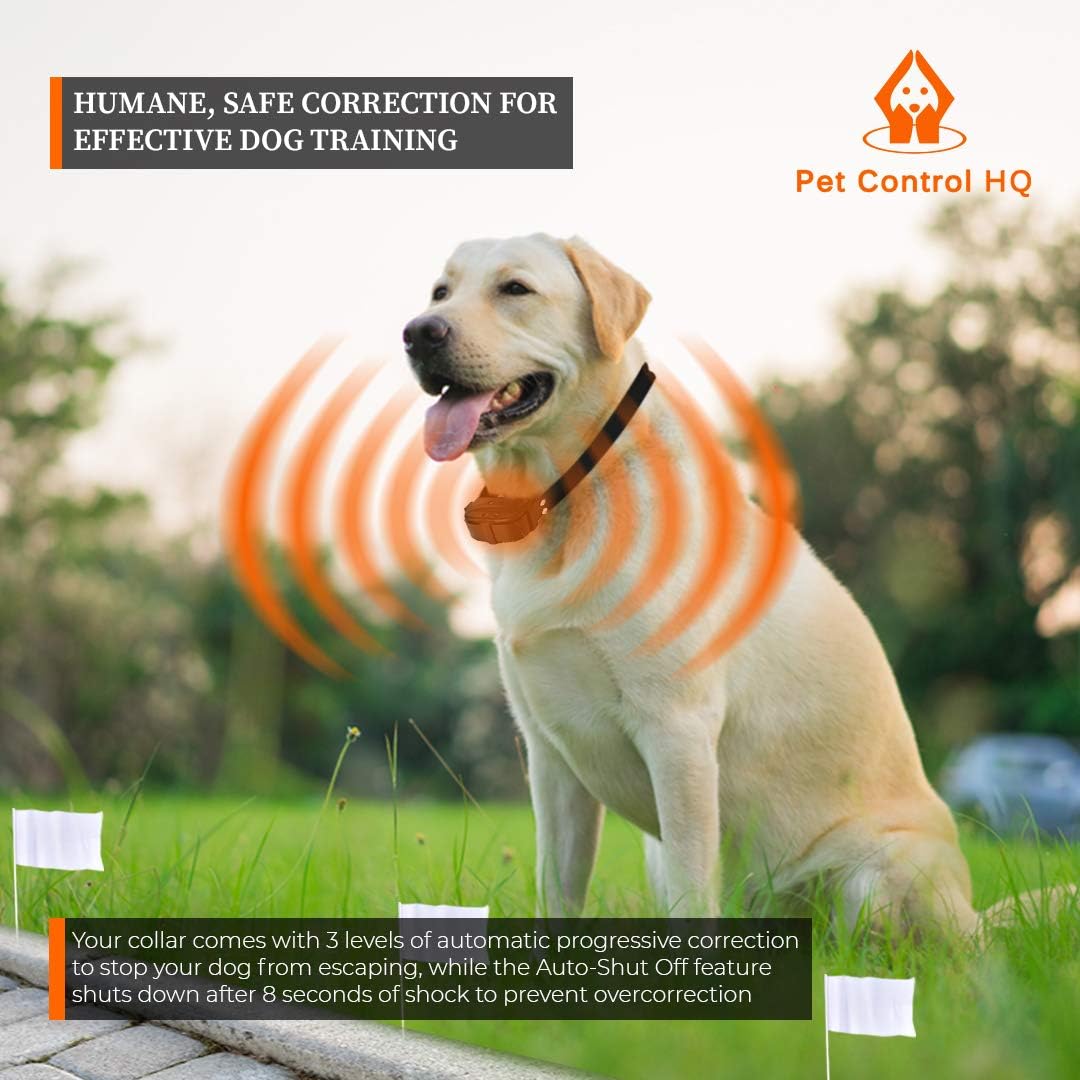 Yellow Labrador dog wearing a Pet Control HQ collar, with orange rings radiating from the collar indicating correction zones near white boundary flags