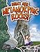 What Are Metamorphic Rocks? (Let's Rock!)