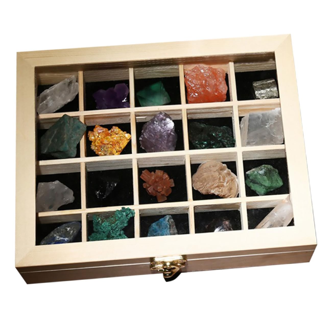 Healeved 20 Einzigartige Natursteine Sammelbox Dekorative Steine ​​für Zuhause Freunde Lehrmittel Für Aquarien Und Gärten