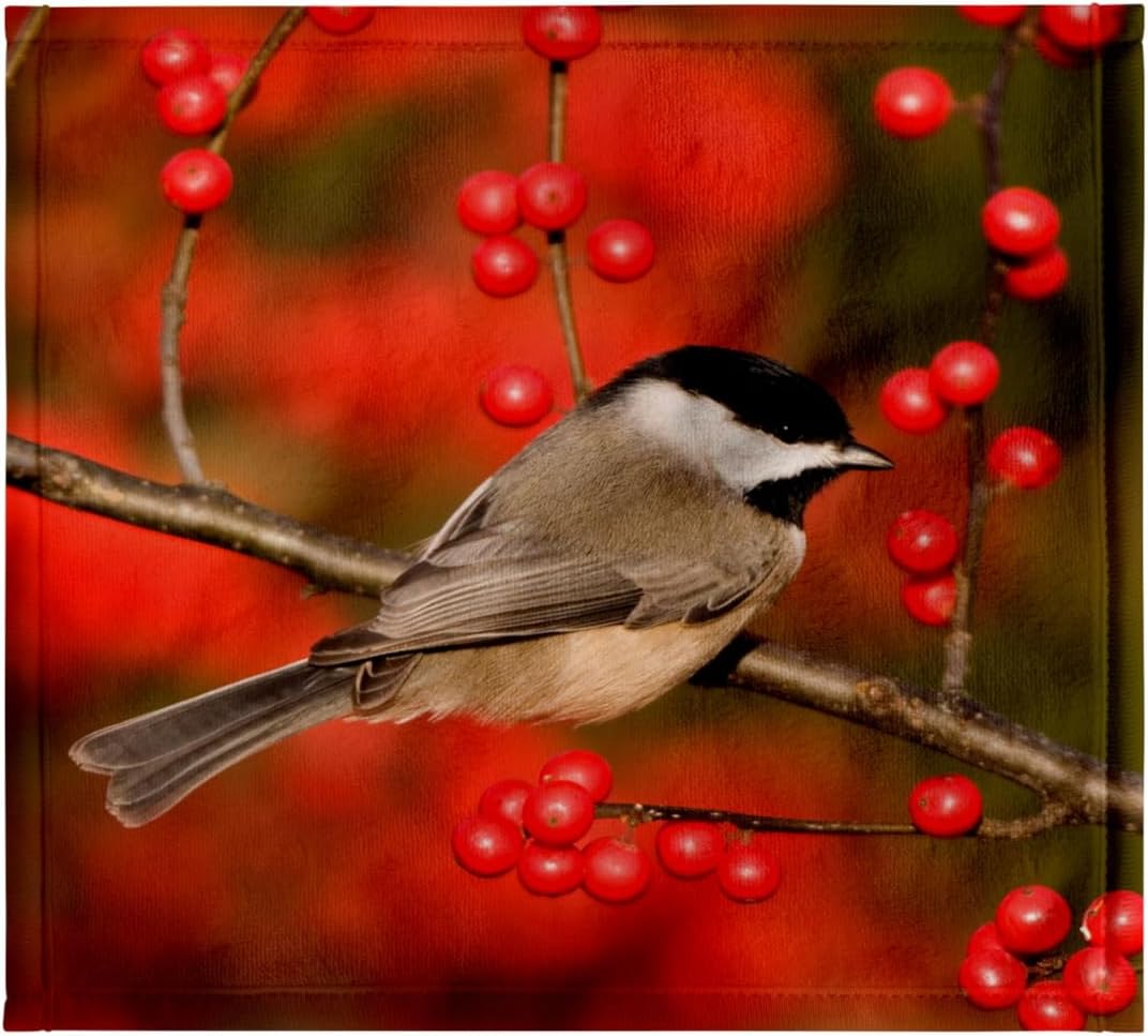 3dRose Carolina Chickadee on Common Winterberry, Bush, Marion Co. IL 22x30 Bath Hand Pool Towel