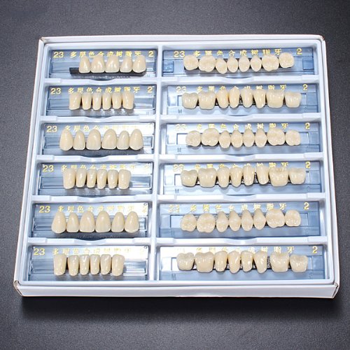 Acrylic Resin Denture Dental Teeth Shade A2 in An Red/Blue