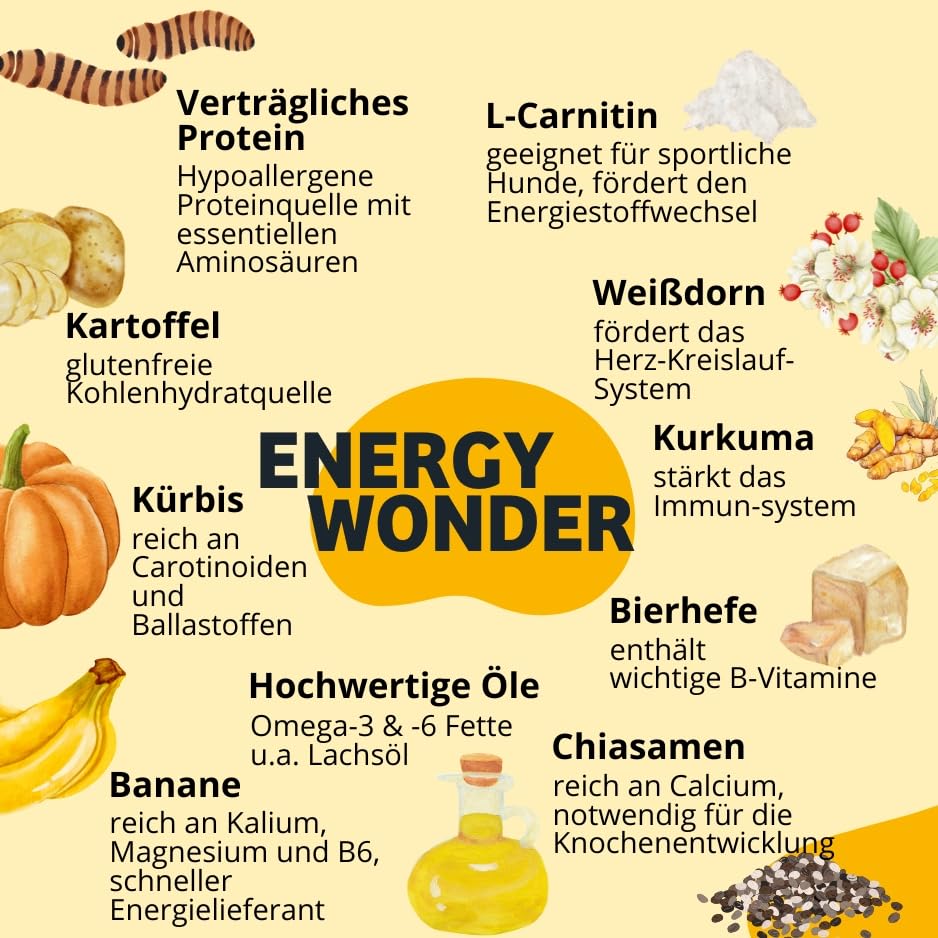 BugBell 800g High Energy Trockenfutter für Hunde, Insektenprotein ohne Getreide, Banane & Kürbis & Chia & Lachsöl & L-Carnitin unterstützen ein aktives Hundeleben, 100% transparente Deklaration