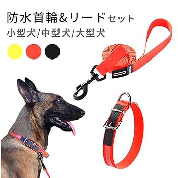 Juicy Coutureジューシークチュール 小型〜中型犬　首輪リードセット Amazon | Juicy Couture ピンクカモ 犬用ハーネスとリーシュ