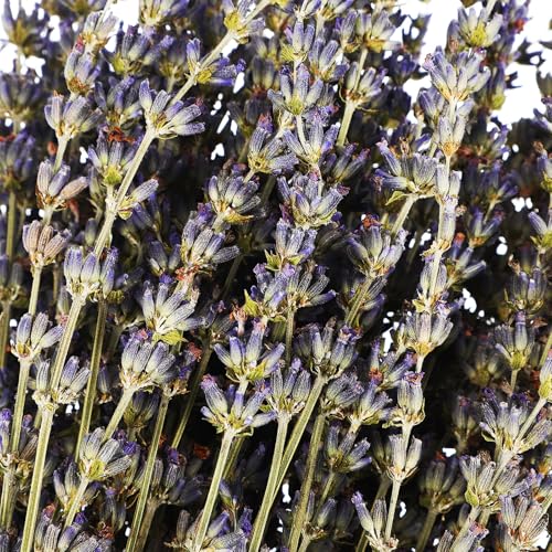 Ramo de flores secas de lavanda para decoración miniatura 7