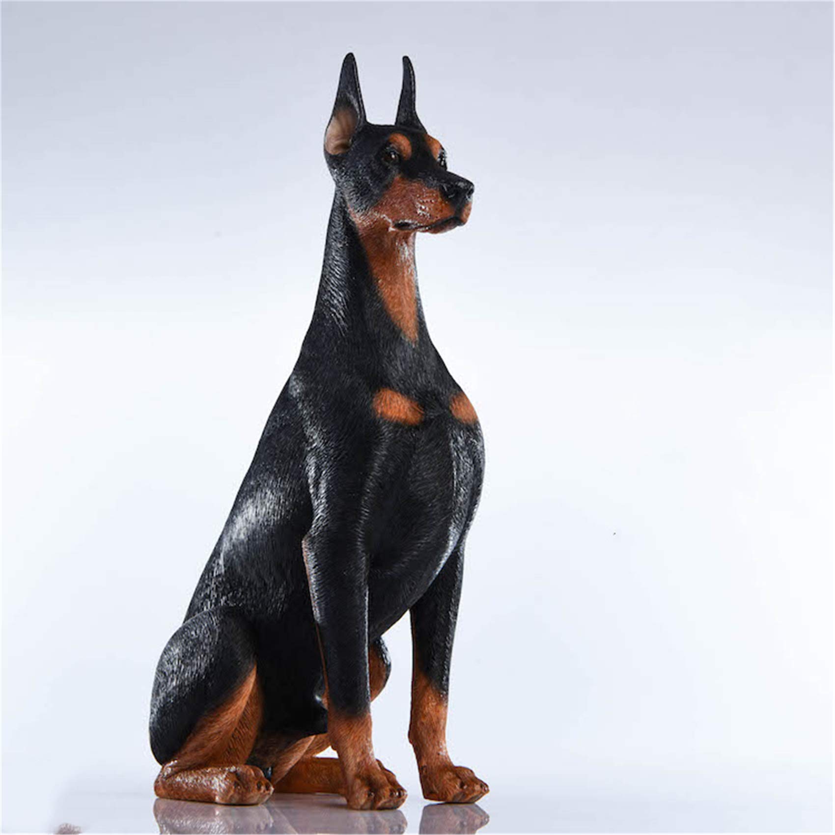 Amazon.com: Lana Toys WLNTDOLA 1:6 Scale Black Doberman Pinscher