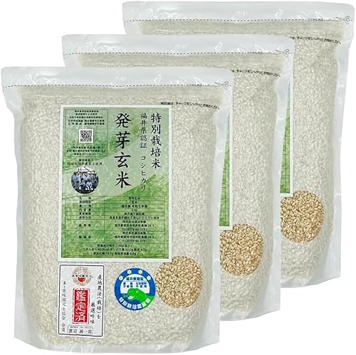 無農薬 玄米 真空パック」の人気商品一覧 | 安い商品を通販サイトから