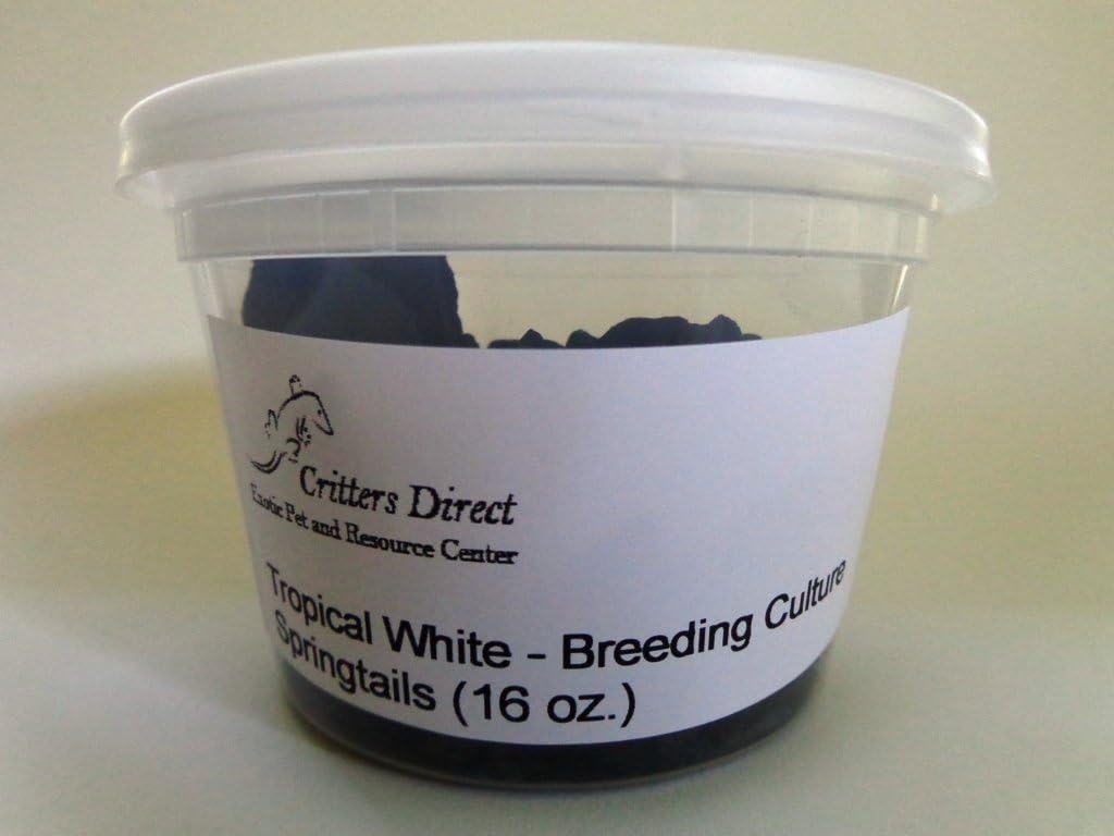 Hxeredue YuanKanJu EVERDAZZLive Springtails, Tropical White: Large Breeding Culture