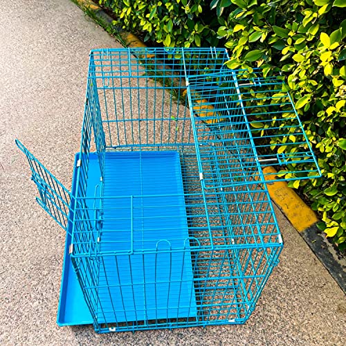Image of RvPaws Dog Cage Double Door Heavy Duty Folding Metal for Large Size Dogs and Adults 36 Inch (Blue)