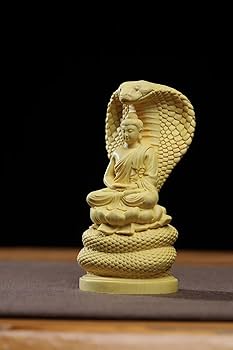 61BebqXGcfL._AC_UF350,