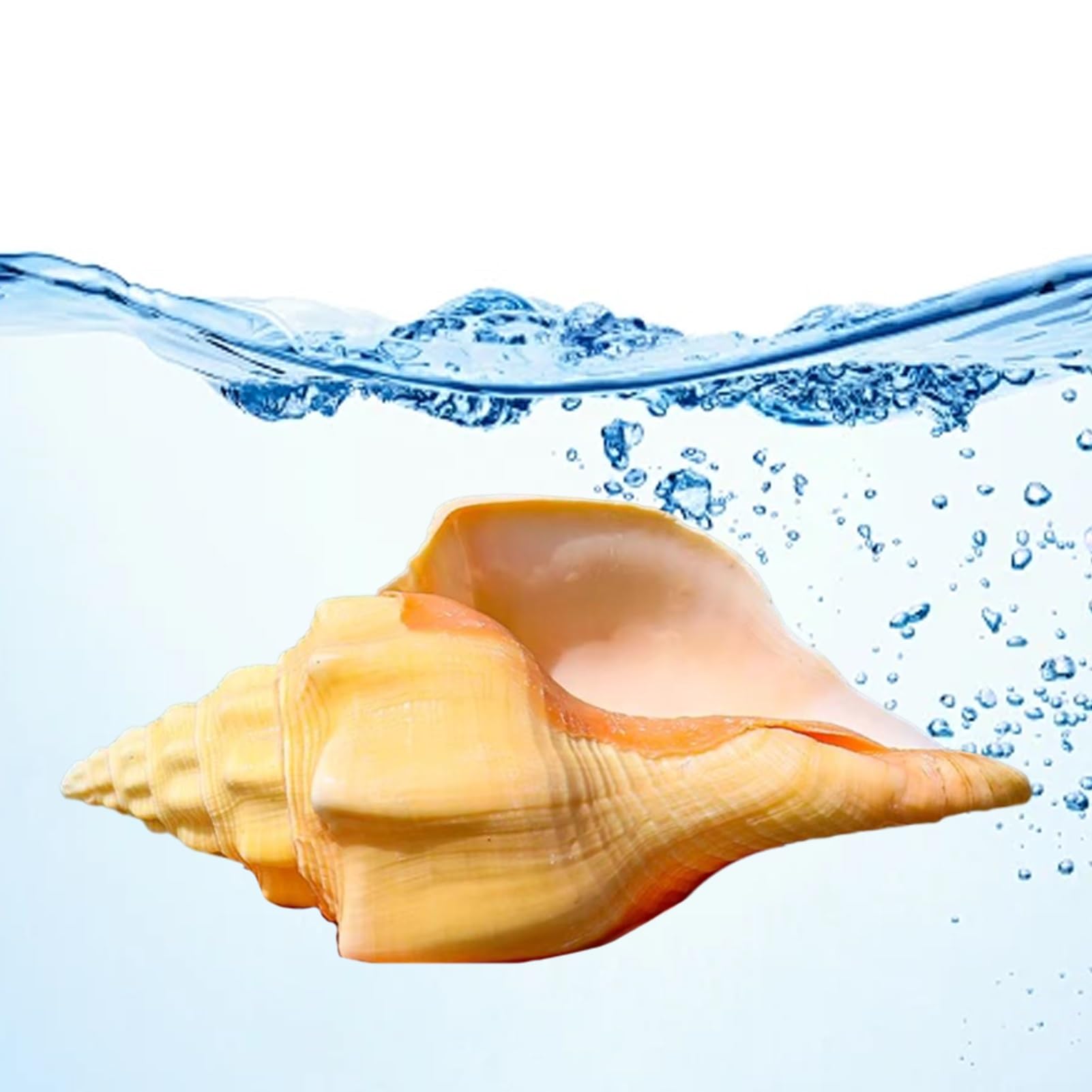 Grande conchiglia decorativa per la casa, decorazione per acquario, artigianato fai da te per decorazioni per matrimoni