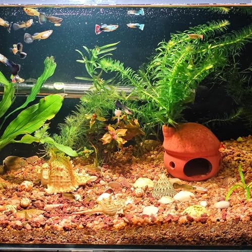 Image of M2cbridge Natural Clay Pottery Ceramic Jar Vase Cichlid Small Fish Shrimp Aquarium Decor to Play Hide Breed Habitat (Red Clay, 2pcs)