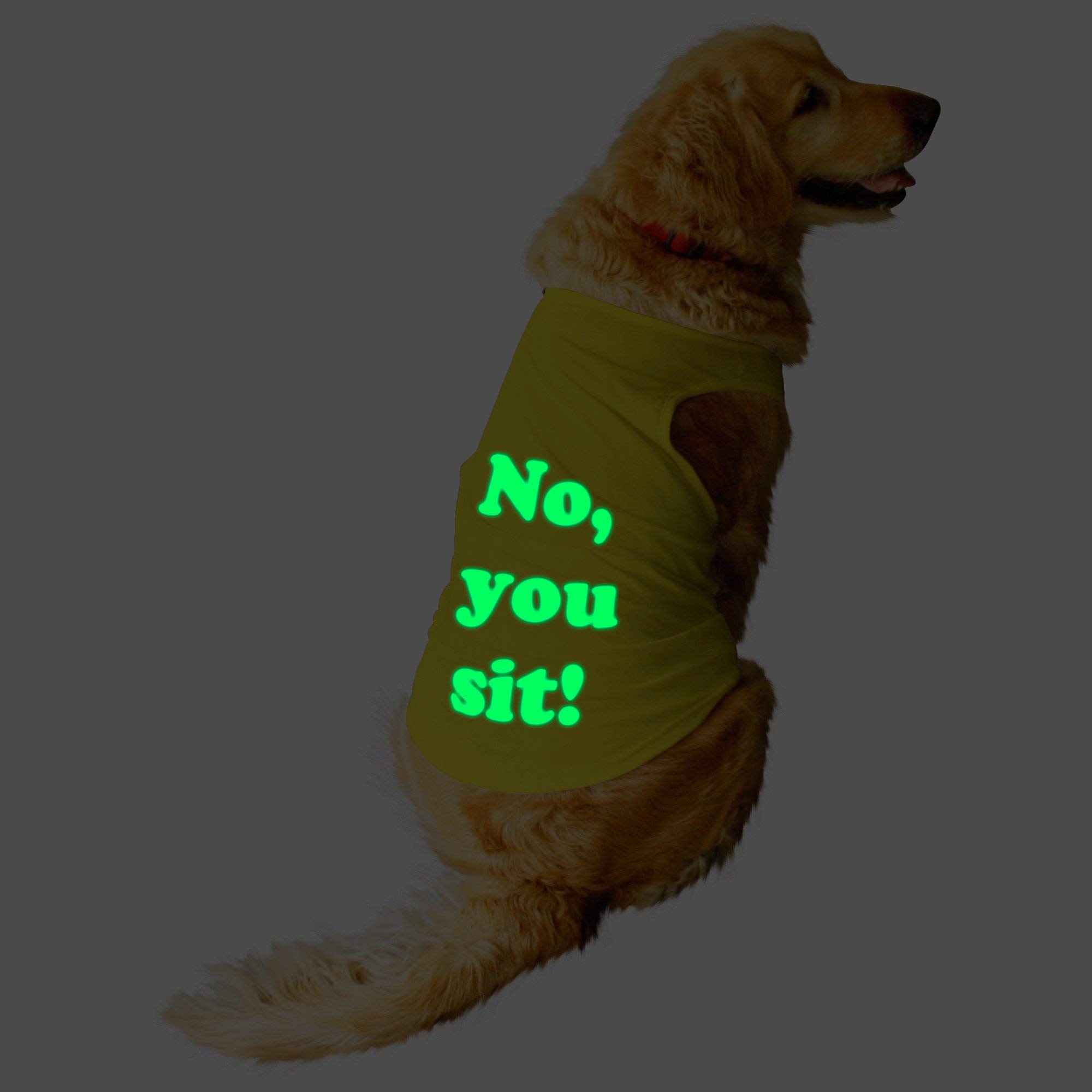 Ruse.Pet No You Sit Printed Glow in The Dark Round Neck Sleeveless Vest Tank T-Shirt/Tees for Small,Big Dog Clothes Summer Apparel./X-Small (New Born Puppy) (B089G37RYY) Amazon Price History, Amazon Price Tracker