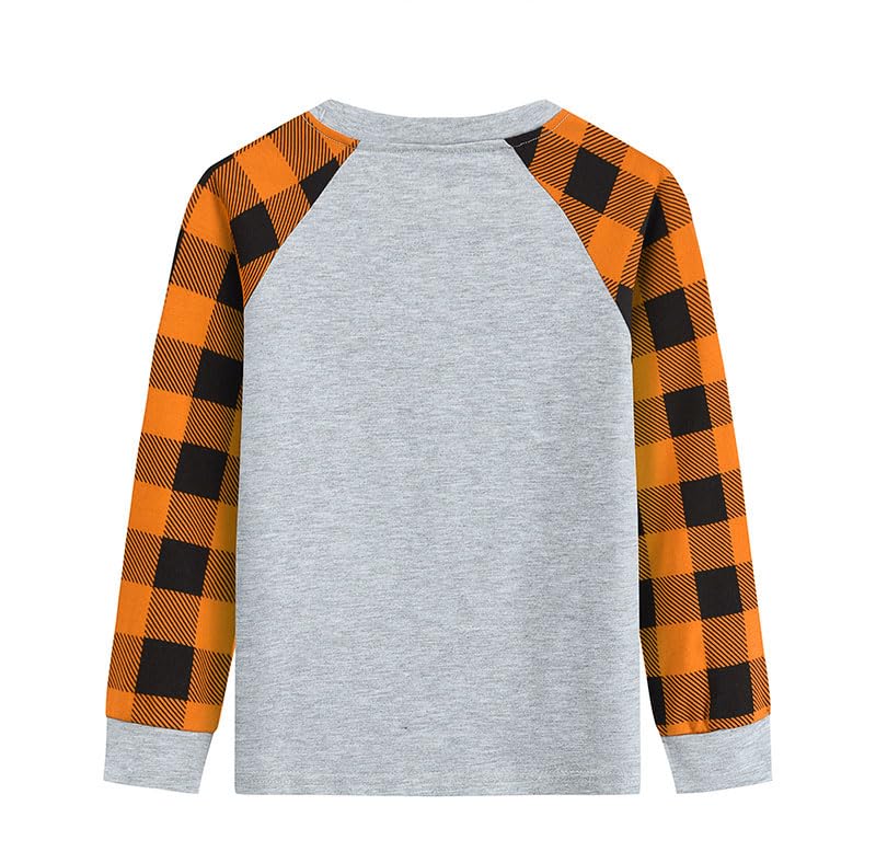 Boys Girls Halloween Shirts Pumpkin Truck Tees Ghost Jack-o '-Lantern Long Sleeve Monster Truck Skeleton T-Shirt 1-7T2