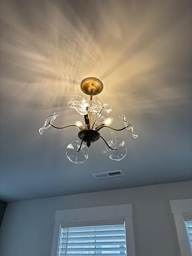 Review Image by Amazon Customer