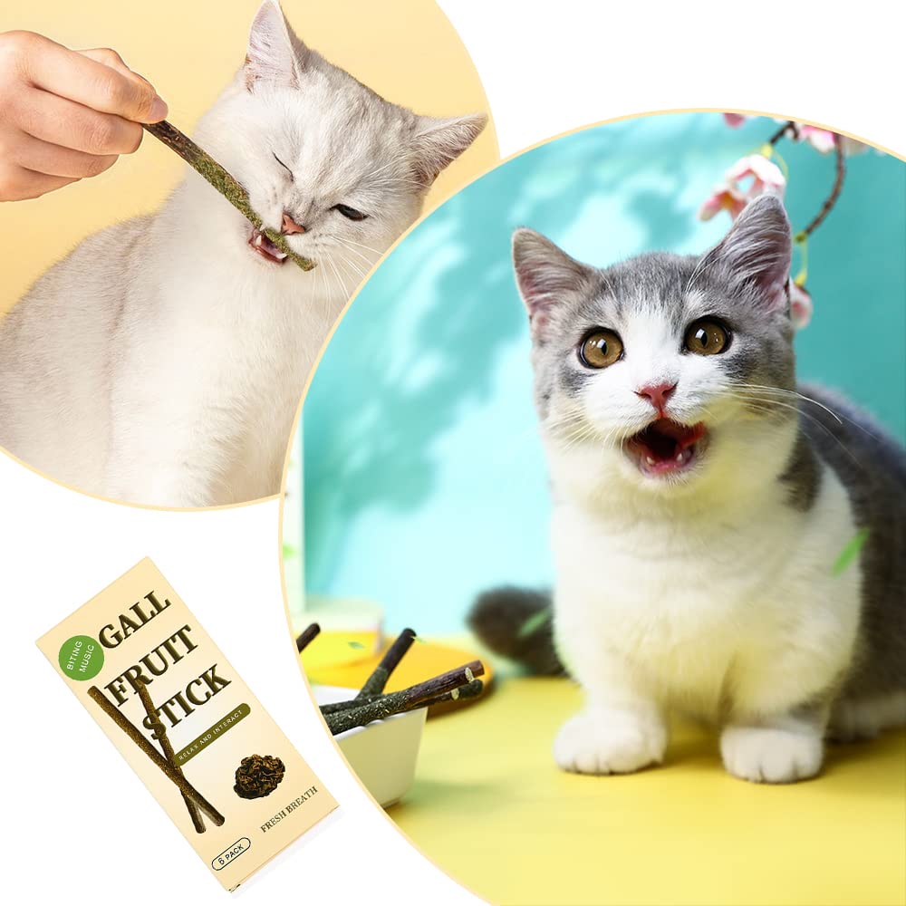 6 Palos masticables para gatos, palos de hierba gatera natural, juguetes de hierba gatera biliar, palillo de frutas, dientes de gato para limpieza de dientes de gato