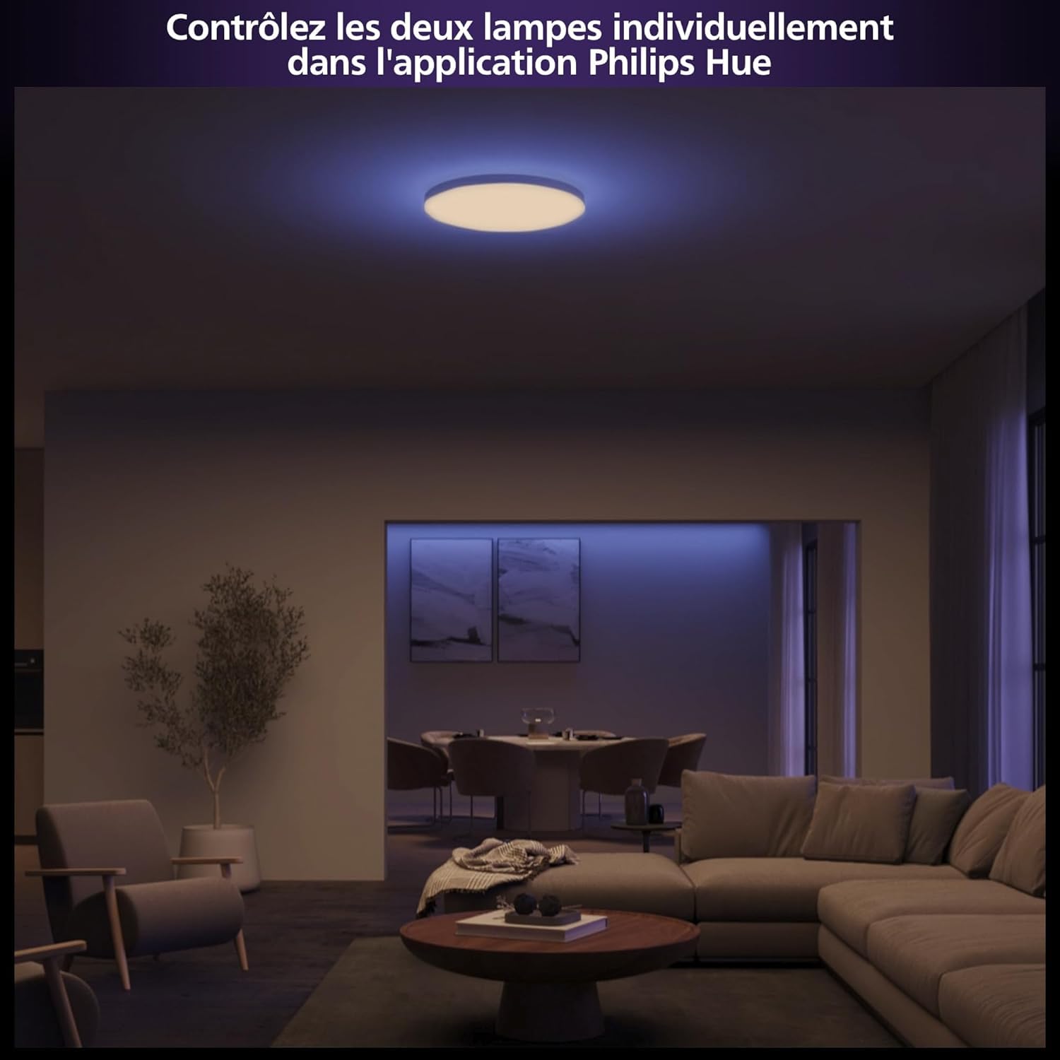 Philips Hue White & Color Ambiance, Panneau LED Datura, Ø 38.4 cm, Blanc