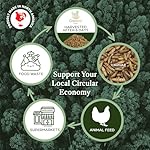 Dried Black Soldier Fly Larvae Chicken Treats for Hens, Duck, Wild Birds, Lizard, Tortoise, Fish - All Natural High Protein Dried Mealworms Alternative - Made in North America - Image 4