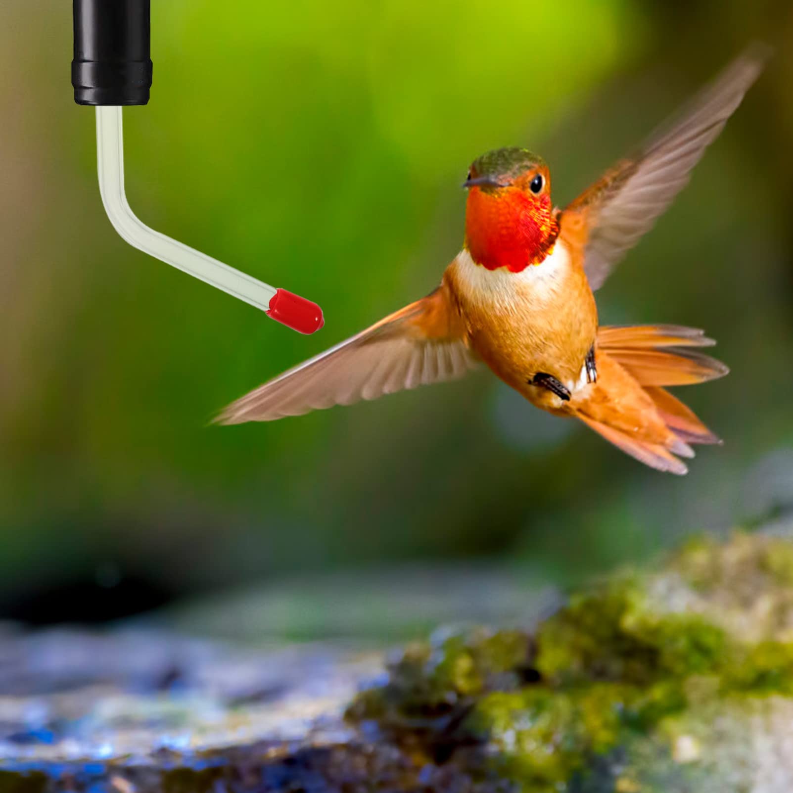 YARNOW 3 Ensembles Mangeoire À Eau pour Colibris Mangeoire pour Oiseaux Remplacement De La À Colibris Tubes Bird Feeder s pour Oiseaux Accessoire Extérieur 4 Pièces * 3