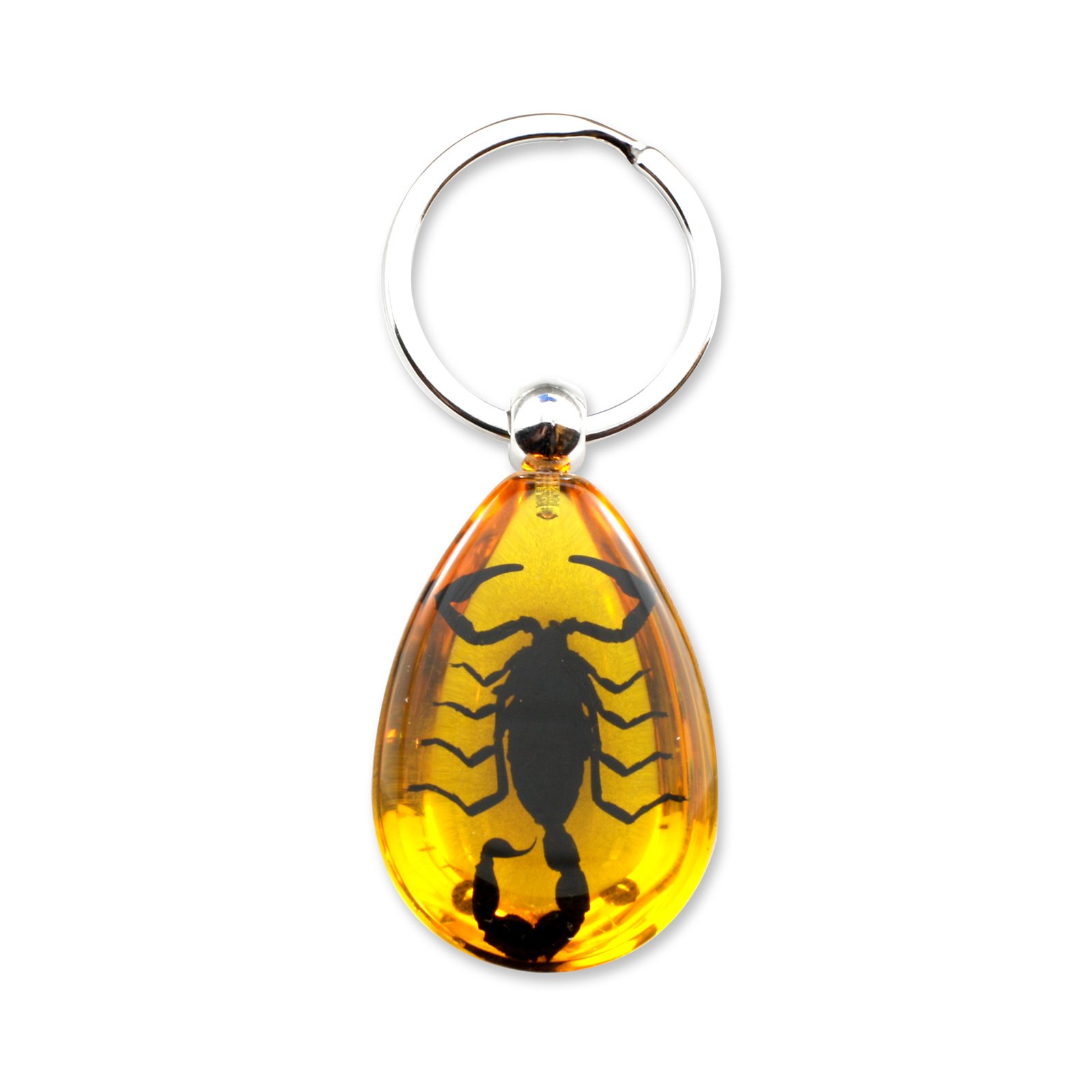 Amazon.com: Black Scorpion Key Chain Tear Drop Amber : Automotive