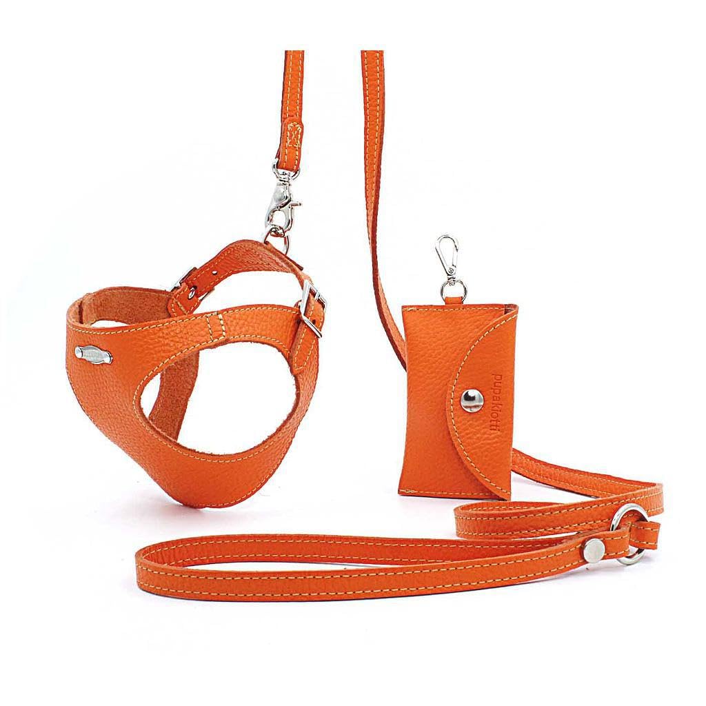 Basic. Set 3 Pezzi. Pettorina per Cani, Guinzaglio e Porta Sacchetti per Cane in Pelle Made in Italy Arancione 2XS