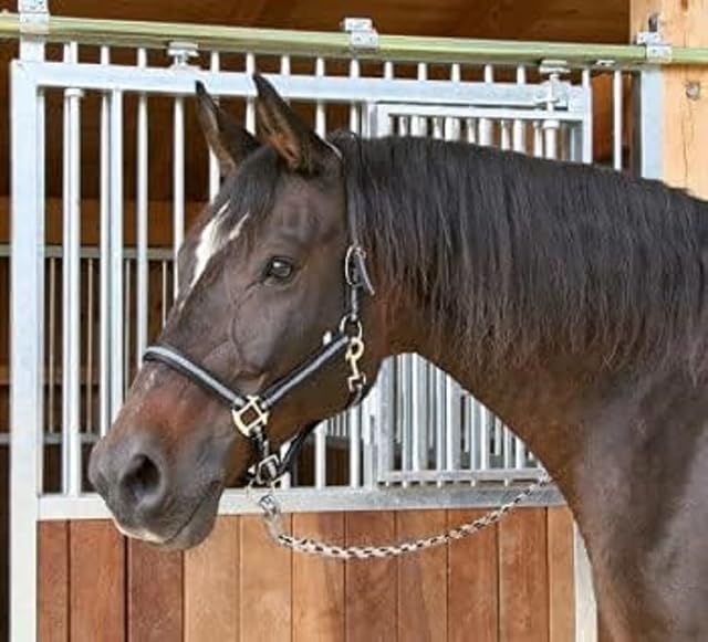 Cabeza Cuello Kerbl Mustang - Negro/Plata, tamaño 1