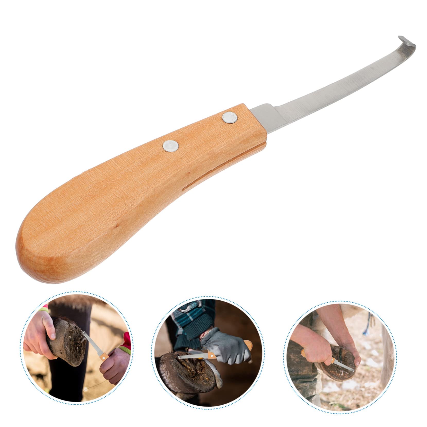 3stücke Hufpflege Werkzeug Aus Edelstahl Hufschneider Mit Holzgriff Für Pferde Rinder Schafe Und Ziegen Leicht Und Langlebig Präzise Huftrimmung Für Gleichmäßige Kanten Und