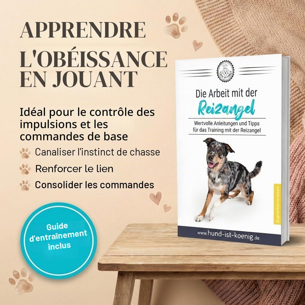 HUND IST KÖNIG Canne à pêche Professionnelle pour Chien - Idéale pour Le Dressage de Votre Chien - Jouet pour Chien - pour l'entraînement en extérieur - avec Corde de Rechange et Corde
