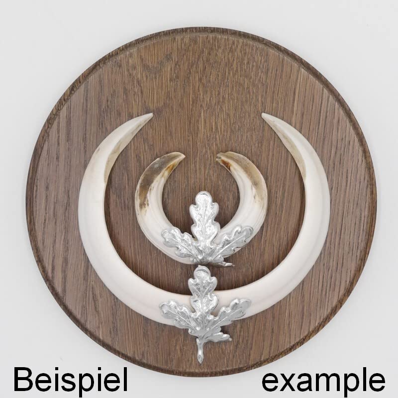 Generisch 10 placas de cuña redondas marrón AF 19 cm con 20 hojas de aluminio de roble, tablas de cuña, tabla de especias, cartel trofeo.